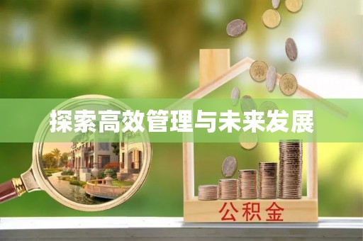 平坝探索高效管理与未来发展